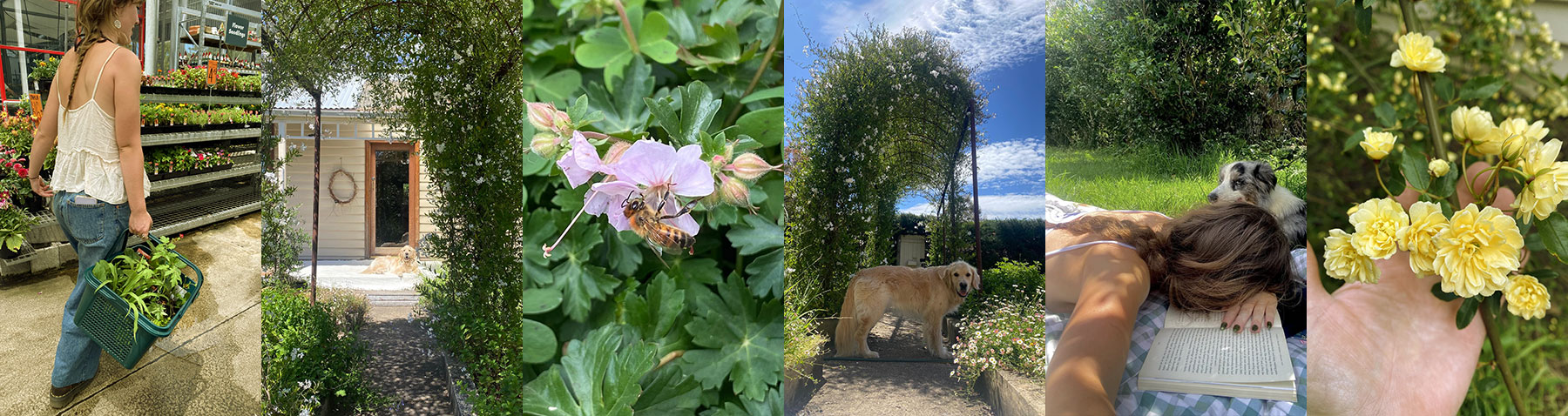 Ayla Buckley, Wild Roots Gardener